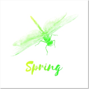 Spring Dragonfly Posters and Art